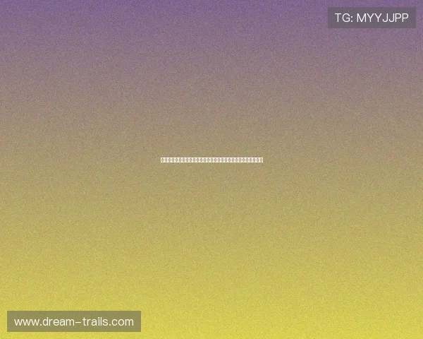 凯发金鲨银鲨玩家必看新手入门指南快速掌握游戏规则与操作技巧